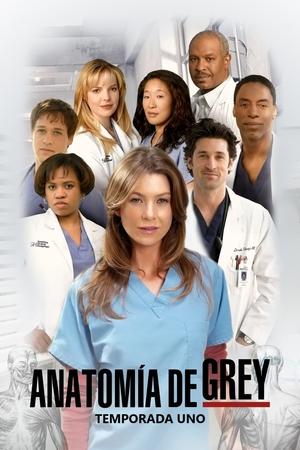 Anatomía de Grey 1x9