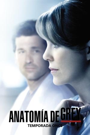 Anatomía de Grey 11x24