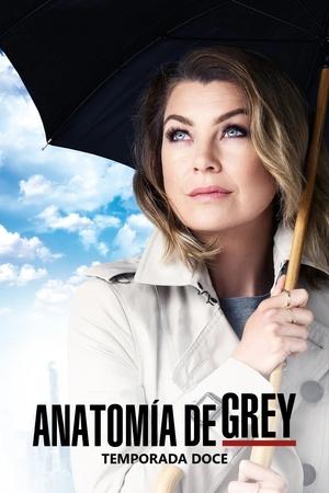 Anatomía de Grey 12x24