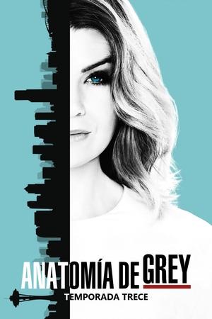 Anatomía de Grey 13x24