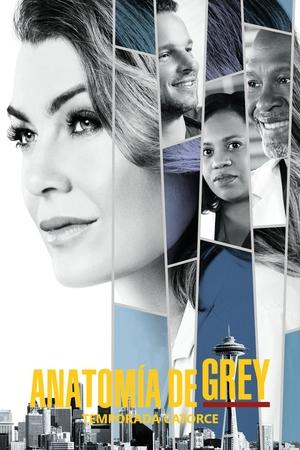 Anatomía de Grey 14x24