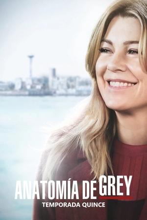 Anatomía de Grey 15x25