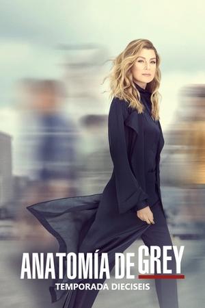 Anatomía de Grey 16x21