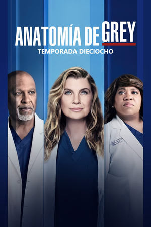 Anatomía de Grey 18x19