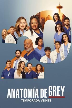 Anatomía de Grey 20x10