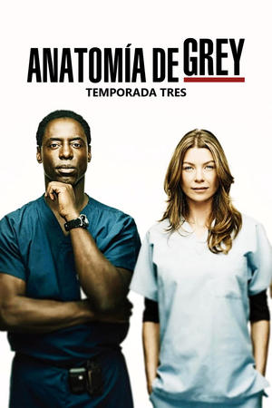 Anatomía de Grey 3x25