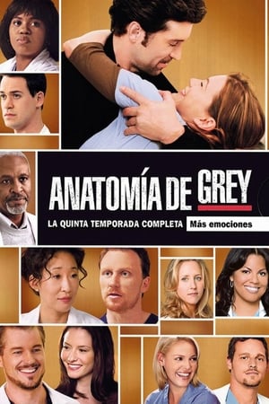 Anatomía de Grey 5x24