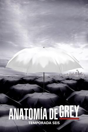 Anatomía de Grey 6x24