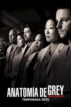 Anatomía de Grey 7x22