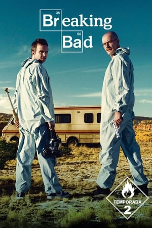 Breaking Bad 2x13