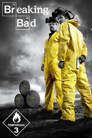 Breaking Bad 3x13