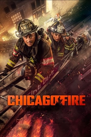 Chicago Fire 13x15