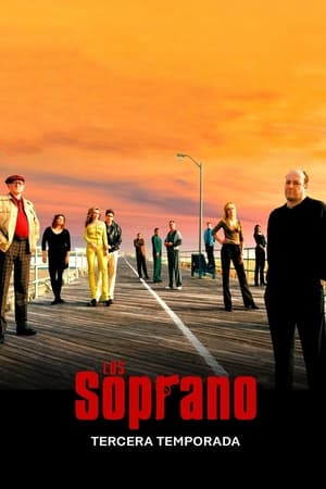 Los Soprano 3x13