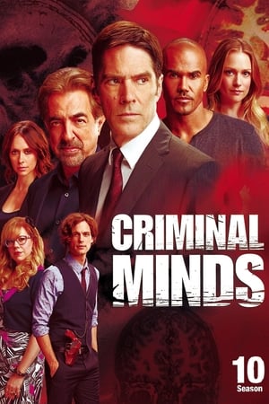 Mentes criminales 10x23