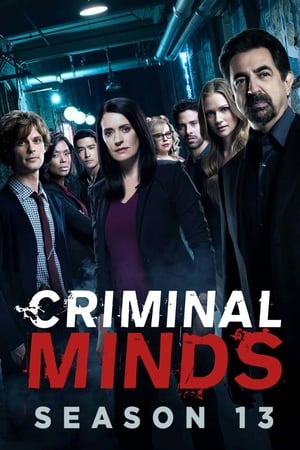 Mentes criminales 13x22