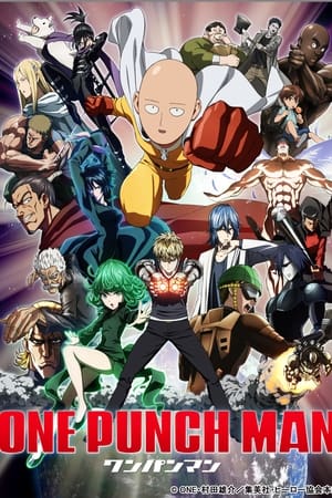 One Punch Man 1x12
