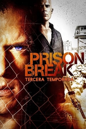 Prison Break 3x13