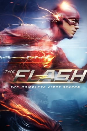 The Flash 1x23