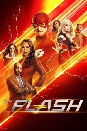 The Flash 8x20