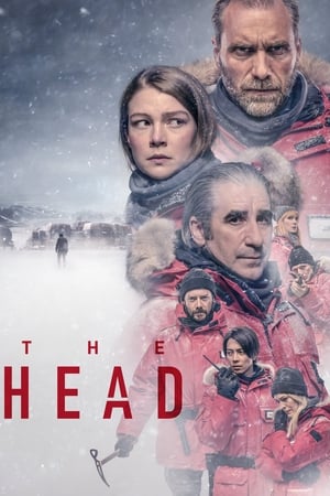 The Head 1x6